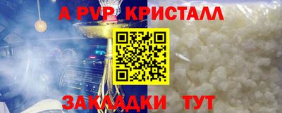 прущие крисы Донской