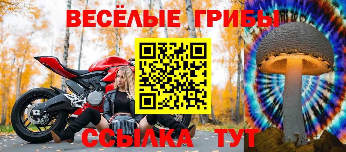 Псилоцибиновые грибы мицелий Чехов